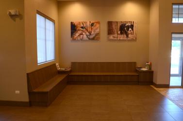 Crest Hill Cat and Dog Clinic - Veterinarian in Joliet, IL US :: Our